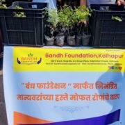 Plant Donation Drive