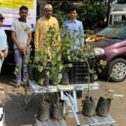 PLANT DONATION DRIVE